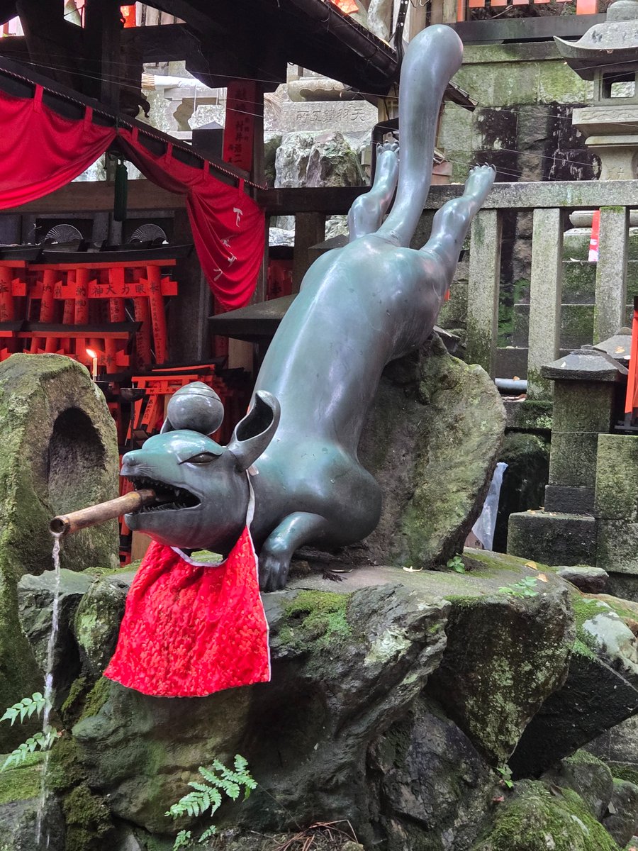 StrayFrey's tweet photo. I am so behind on posting. I'm back home though! My cold/flu is mostly gone, and I will stream the end of The Wandering Village today (assuming end game isn't forever long).

Here's some pictures from day 1 of the trip, which was Fushimi Inari. https://t.co/ZVTNqsv7T2