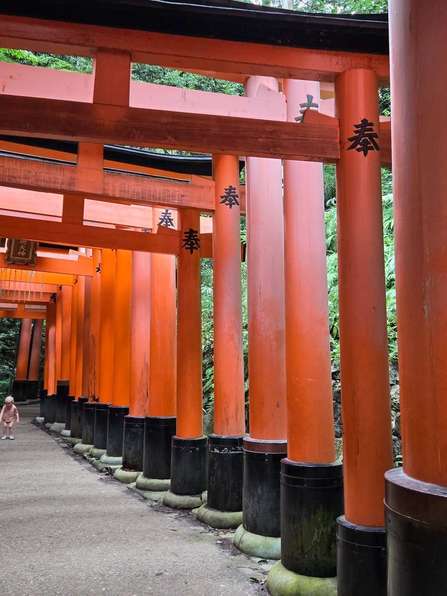 StrayFrey's tweet photo. I am so behind on posting. I'm back home though! My cold/flu is mostly gone, and I will stream the end of The Wandering Village today (assuming end game isn't forever long).

Here's some pictures from day 1 of the trip, which was Fushimi Inari. https://t.co/ZVTNqsv7T2