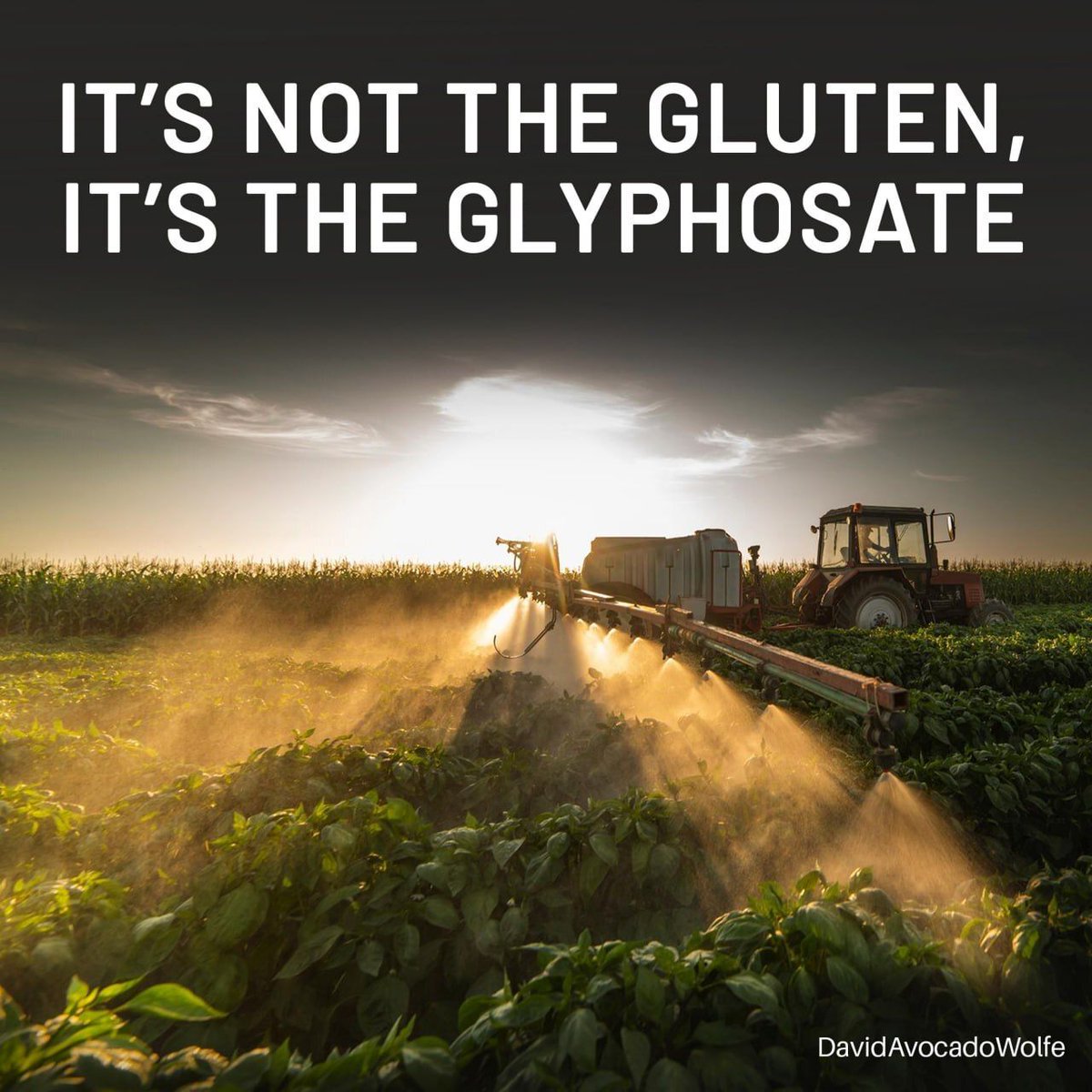 DavidWolfe's tweet photo. https://t.co/YLnPztitQl