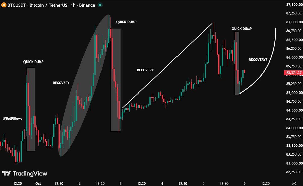 TedPillows's tweet photo. This just keeps happening again and again.

$BTC slowly grinds down.
Someone slams it hard.
Recovery and Bitcoin go even higher.
Someone slams it again.

And the process repeats.

What's even more interesting is that every dip is forming a higher low here, which means buyers are stepping in aggressively.