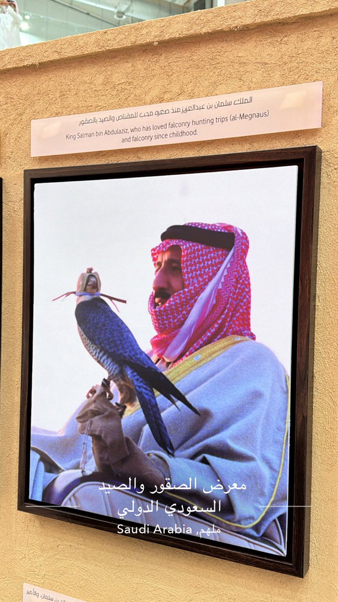 20sst's tweet photo. #معرض_الصقور_والصيد_السعودي_الدولي https://t.co/Q1GkLDokF9