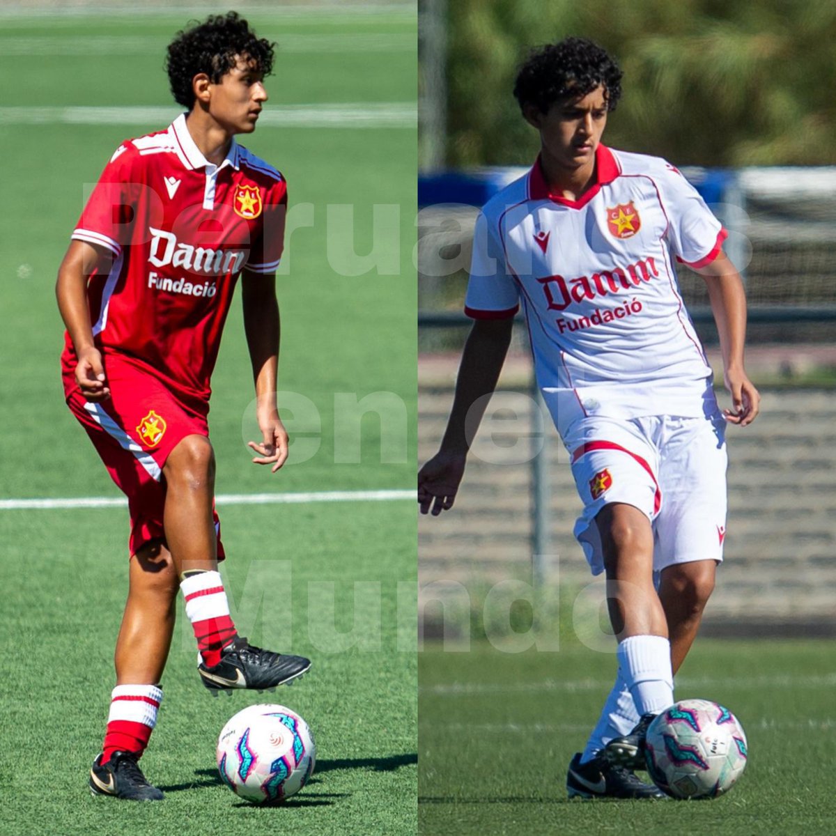 peruanos_mundo's tweet photo. #ScoutingFPF
➡️Oriol Ramos (2012)🇵🇪🇪🇸
➡️Nació en España (Barcelona)
➡️De padres peruanos.
➡️Juega en CF Damm U15.
➡️Posición: Defensa Central
➡️Está en el club desde Julio de este año.
➡️Estatura: 1.76
➡️Anteriores equipos : Fundación Cornellá, CE L'Hospitalet. https://t.co/Jg8GsqDqo9