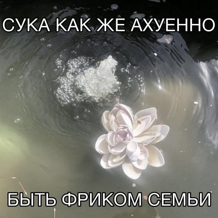 Sammler_244's tweet photo. Когда твоё мнение не совпадает с мнением родственников: https://t.co/SOKQLYD4vC