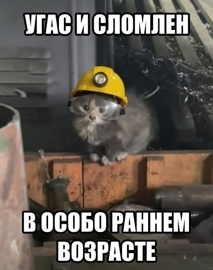 autistic_alice's tweet photo. Ебучий завод https://t.co/x4mV92kcjx