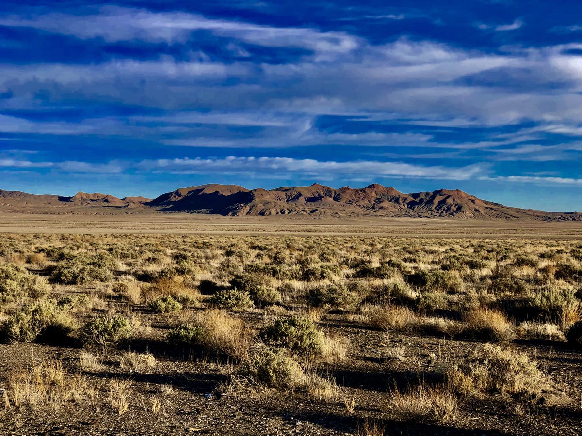 JimHawk67327371's tweet photo. The colors of earth
Painted in simmering heat today.. The badlands, flat arid inhospitable..a land to be passed over quickly. But to those who know..and can withstand..it’s full of hidden treasure. Good day Hawlets 😎 https://t.co/8hqxWclawZ