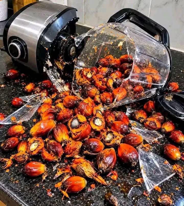 john_guede's tweet photo. 🔴Wouais c’est fort hein cette nouvelle génération🙆🏽‍♂️
Graine dans mixeur😌 Femme d'aujourd'hui 😂😂 https://t.co/sGH4CVJSxe