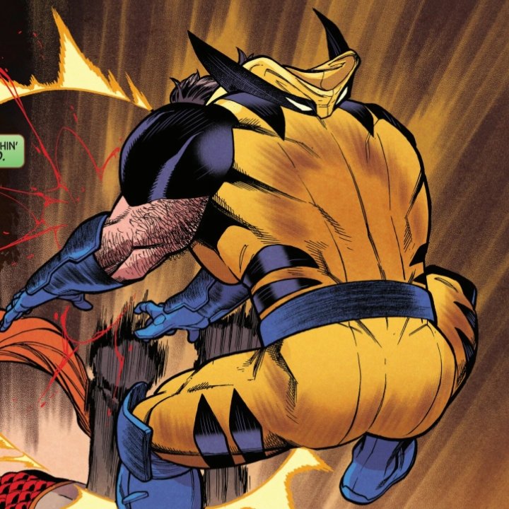 wolverkness's tweet photo. All that, and for what? https://t.co/geJ7aFBxLZ