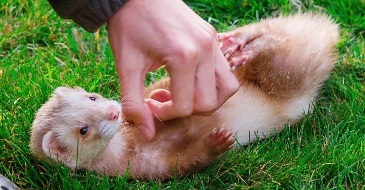 fearaidfangs's tweet photo. how it feels to make plans with friends who love me https://t.co/nW2Ryo53G6