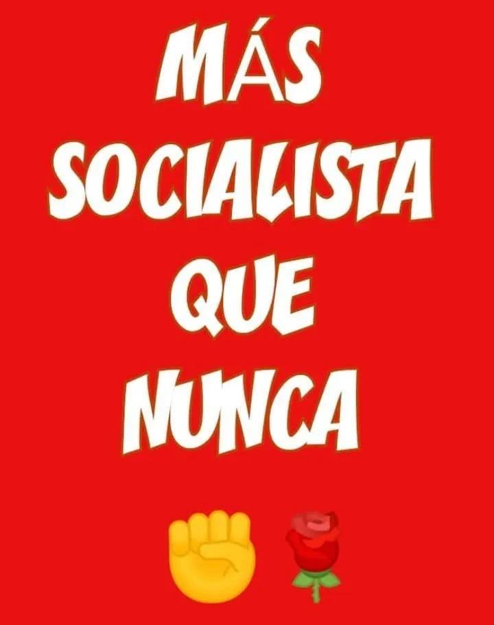 PinillaMila's tweet photo. #AhoraMasQueNunca
#SoloPsoeSuma https://t.co/HpzaoZ07wg