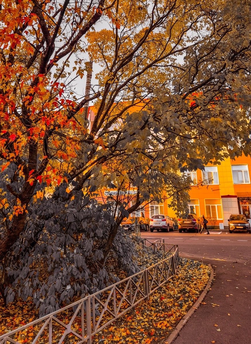 MariaRotarjr's tweet photo. 🌅🇲🇩 Toamna și Chișinăul — combinația perfectă pentru o plimbare de seară și câteva fotografii.
#Chișinău #Moldova https://t.co/Pz4jPJpmNl