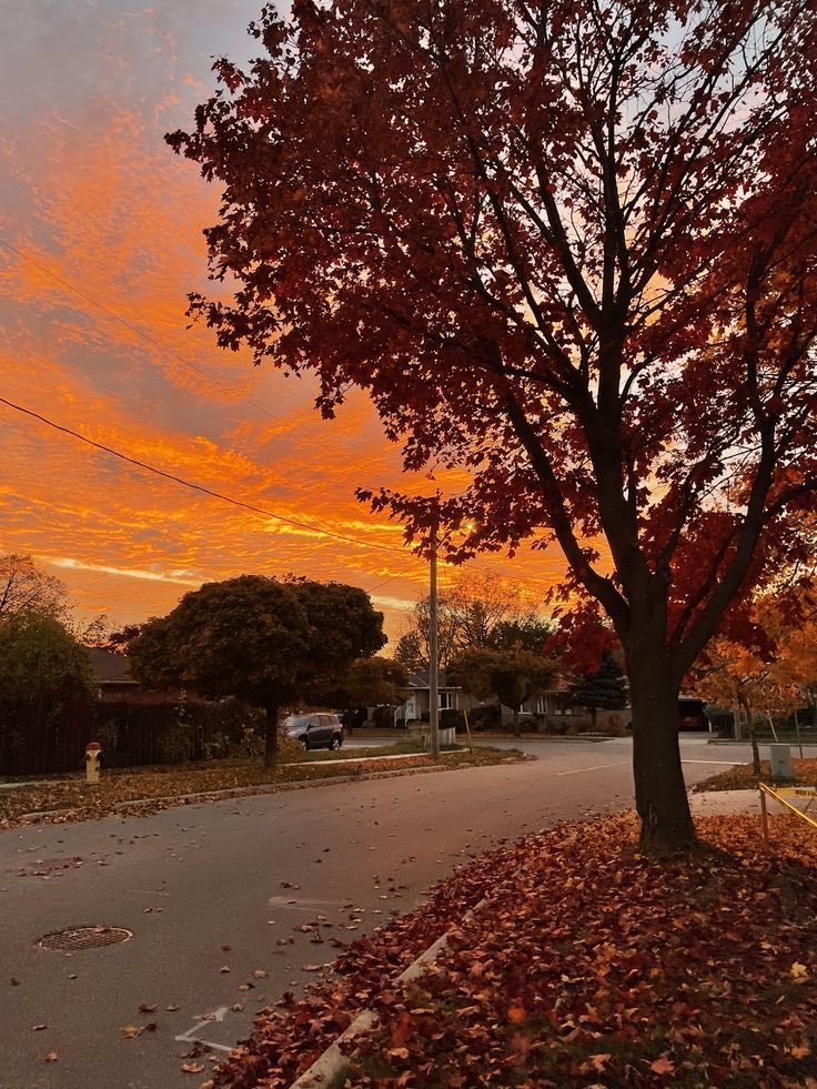 MariaRotarjr's tweet photo. 🌅🇲🇩 Toamna și Chișinăul — combinația perfectă pentru o plimbare de seară și câteva fotografii.
#Chișinău #Moldova https://t.co/Pz4jPJpmNl