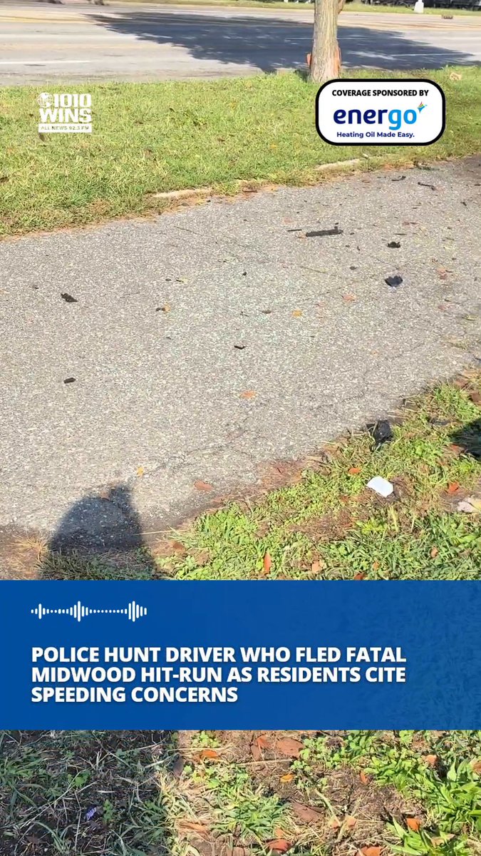 A news broadcast graphic from 1010 WINS (1010wins.com) showing a sidewalk scene with debris, sponsored by Energo Heating Oil, with the headline 'POLICE HUNT DRIVER WHO FLED FATAL MIDWOOD HIT-RUN AS RESIDENTS CITE SPEEDING CONCERNS'.
