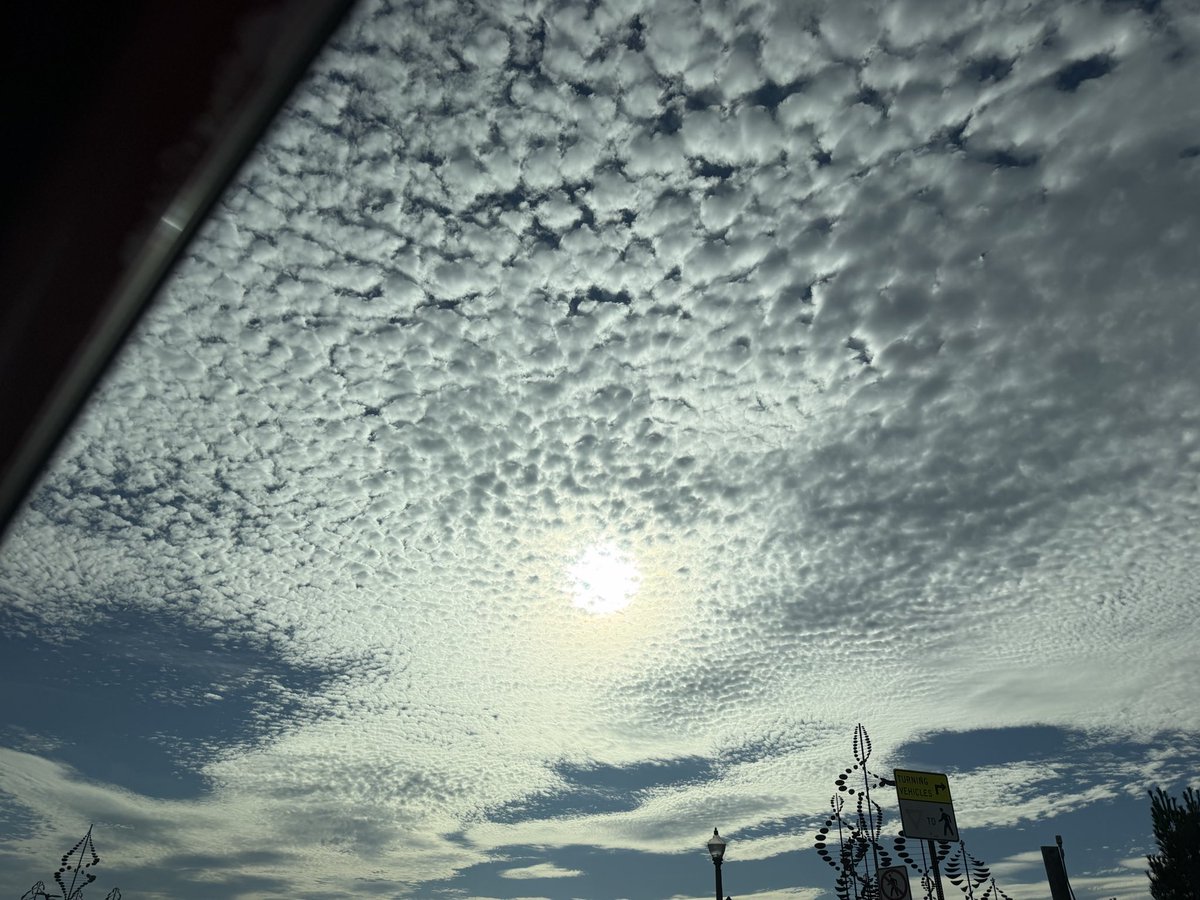 warframejunkie0's tweet photo. Cotton balls or lizard scales? https://t.co/J3B3UKb3rY