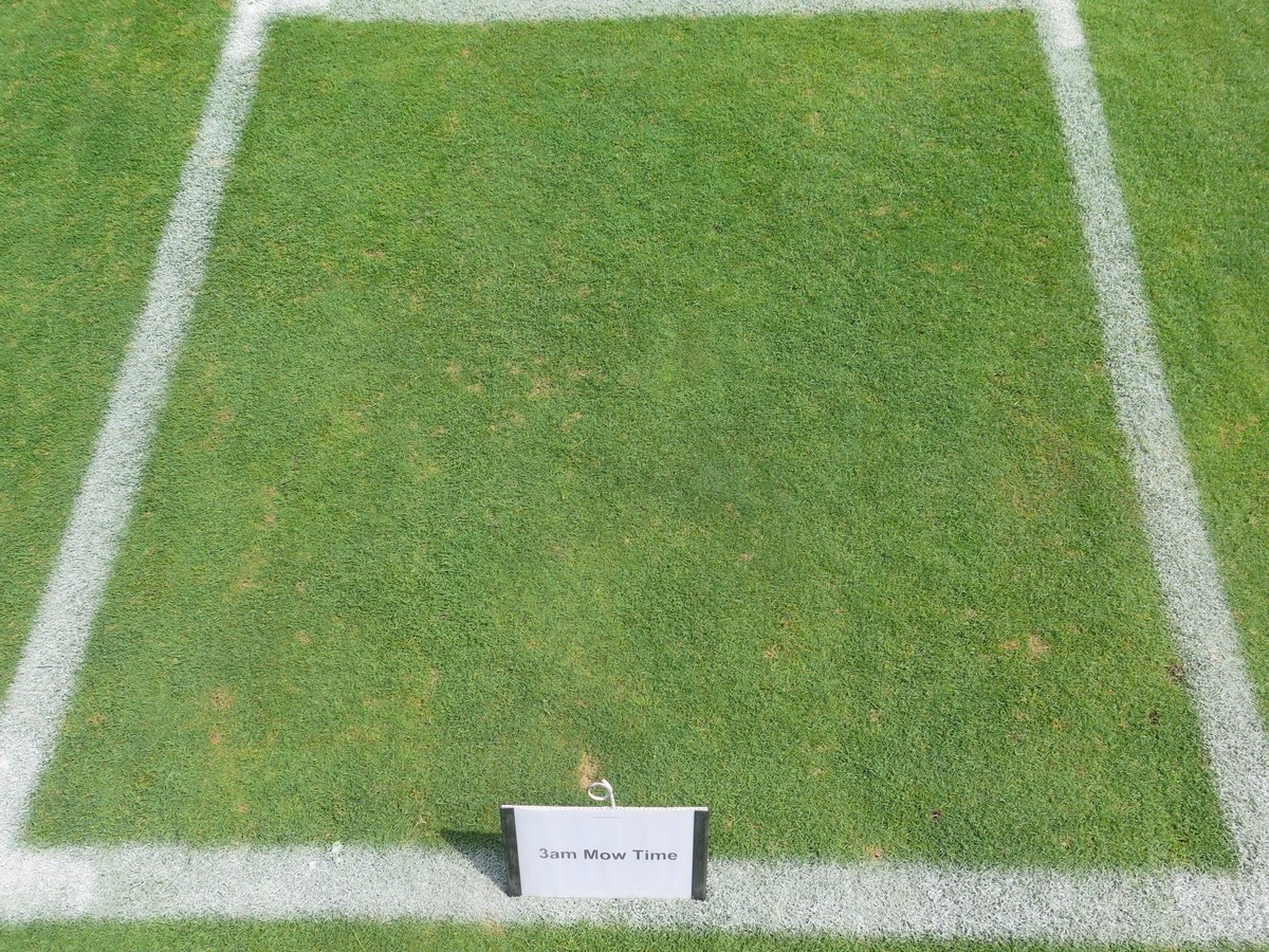 plkoch2's tweet photo. Pretty incredible impacts of the timing of autonomous mowing on dollar spot development. On the peak disease date of Aug 12, 2026 there was a 96% reduction in DS when mowed at midnight compared to 9 AM and a 91% reduction when mowed at 3 AM. The pics below tell the story https://t.co/tGY9XqmzOy