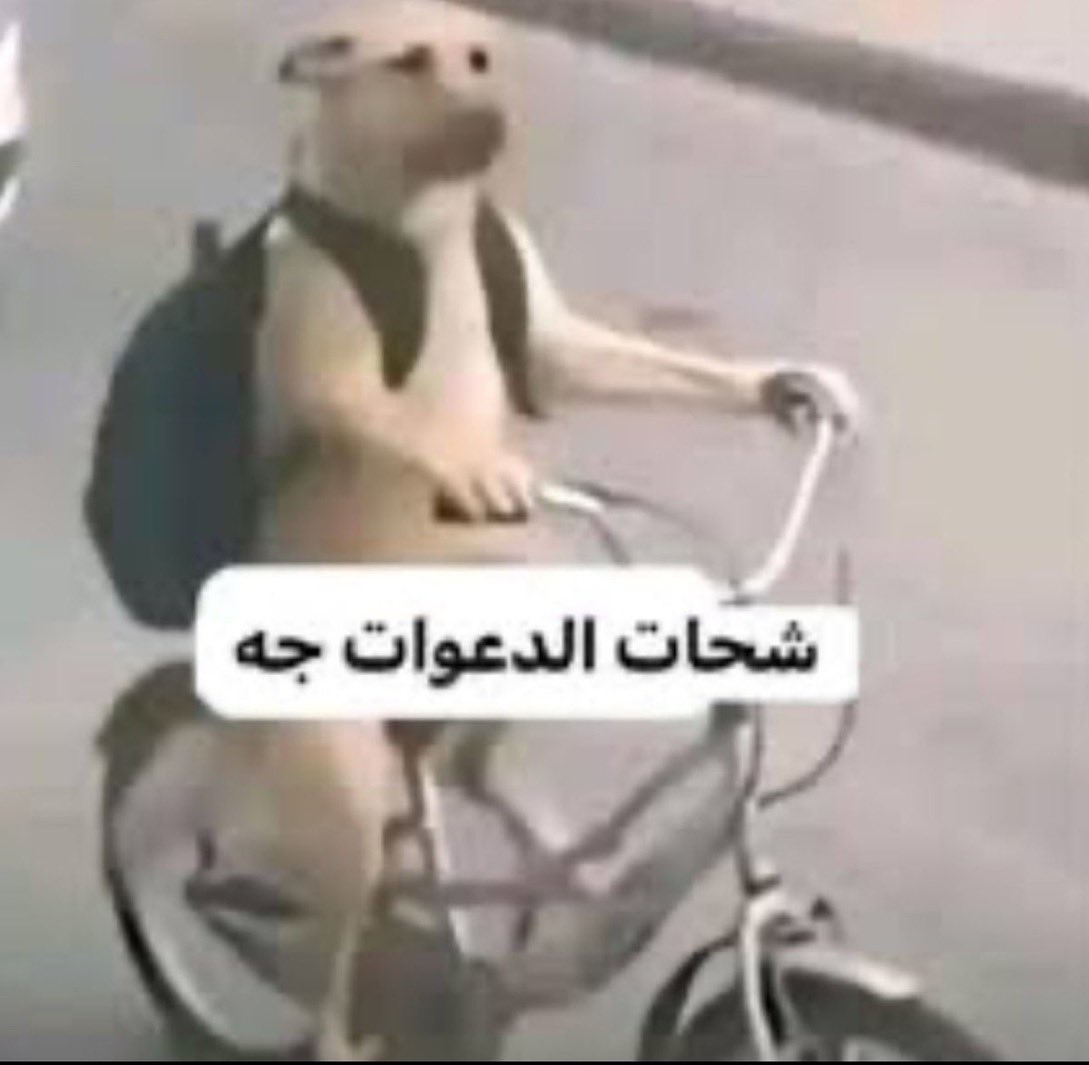 7ceyls's tweet photo. موسم الاختبارات بدا https://t.co/W89mmTodJd