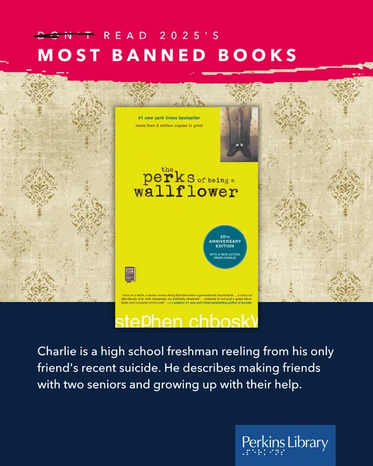 Book cover: The Perks of Being a Wallflower
Description: Charlie is a high school freshman reeling from his only friend's recent suicide. He describes making friends with two seniors and growing up with their help.