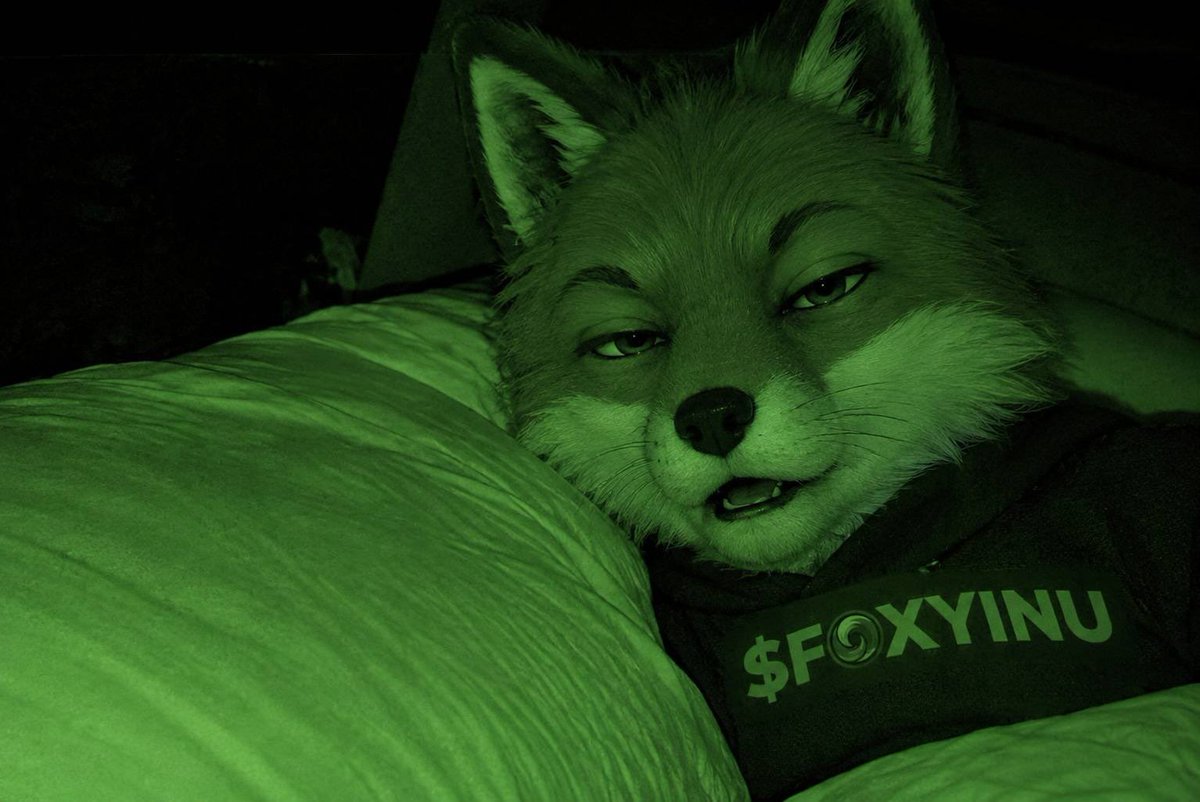 OG_ladiey's tweet photo. $FOXYINU @FOXYINU_SOL 

Lowkey one of the more interesting plays on my radar right now.

No need to force the narrative.

Let it cook.

If this catches momentum, things could get VERY interesting. https://t.co/CFo53SrSOV