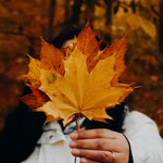 Photo by Société d’assurance-dépôts du Canada (@sadc_ca)