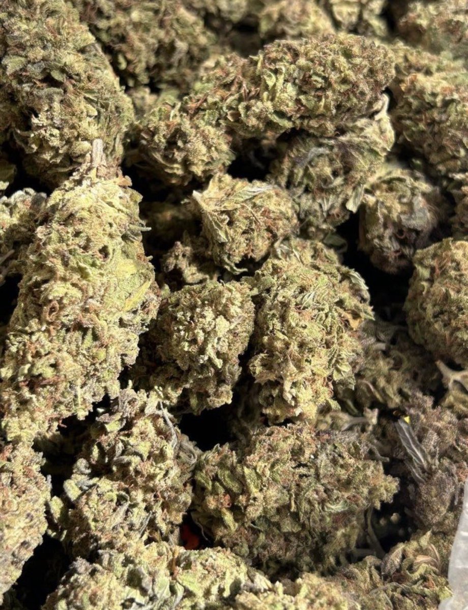 D420plug tweet picture