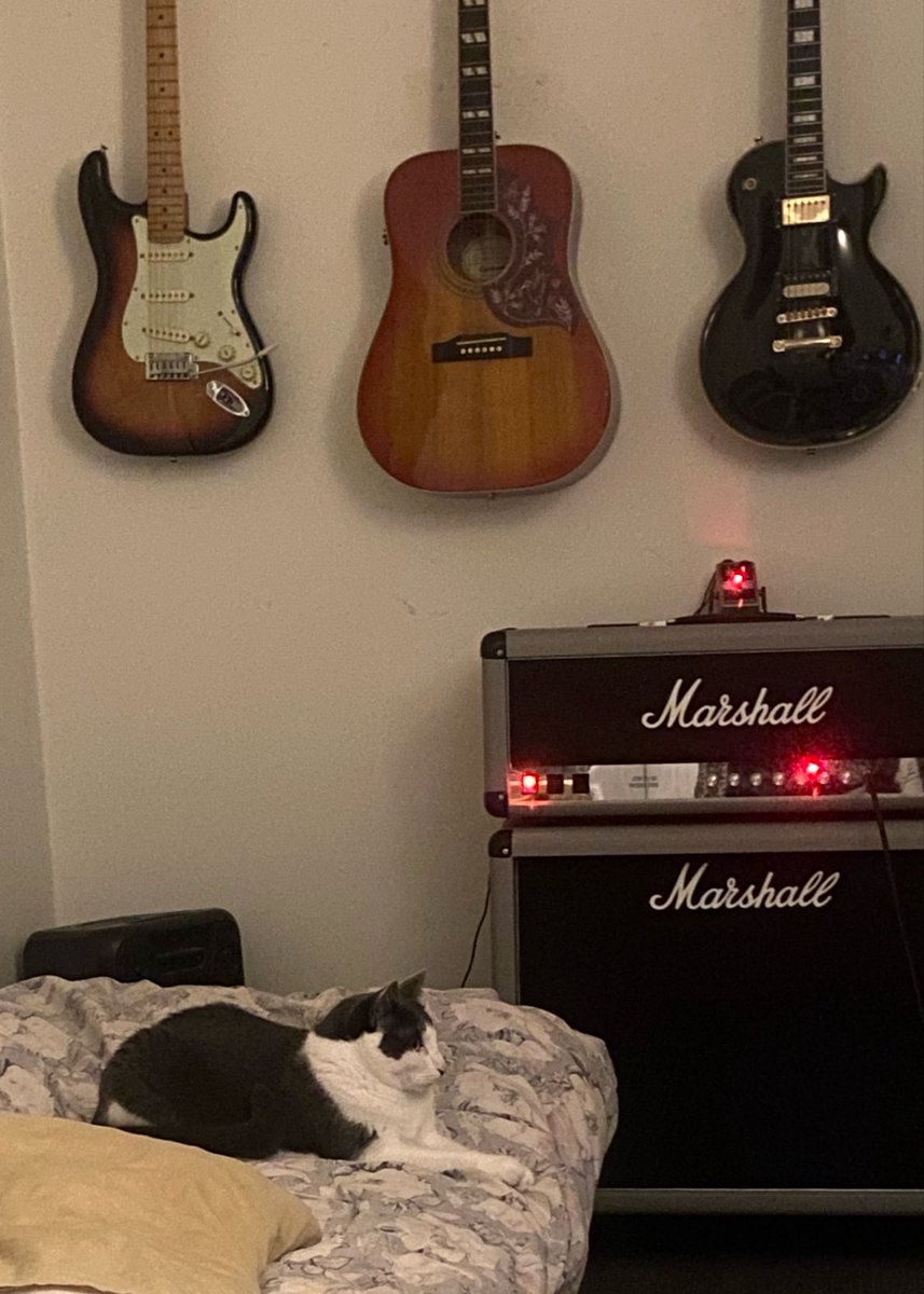 1743FEA's tweet photo. he’s in my bed at my parents place rn :( https://t.co/ScxCniaKD3