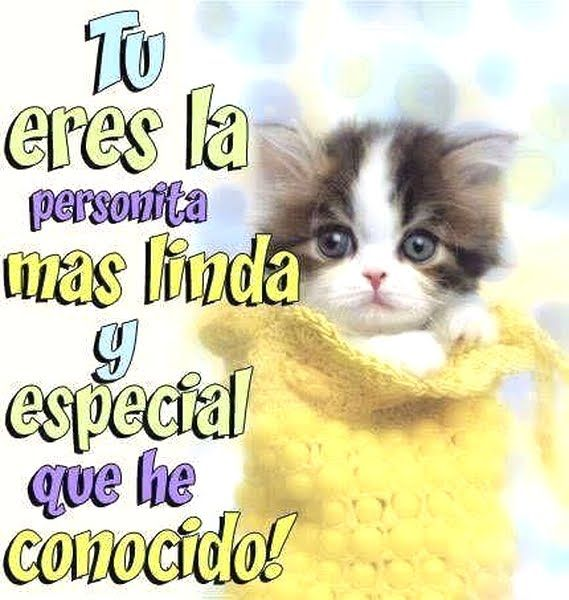 coolfunnnn's tweet photo. el amor y la ternura son el mayor acto de revolución! frente a la indiferencia, la violencia y el individualismo, tratar al otro con empatía es lo que realmente transforma una sociedad! https://t.co/SxSSfwkOC3