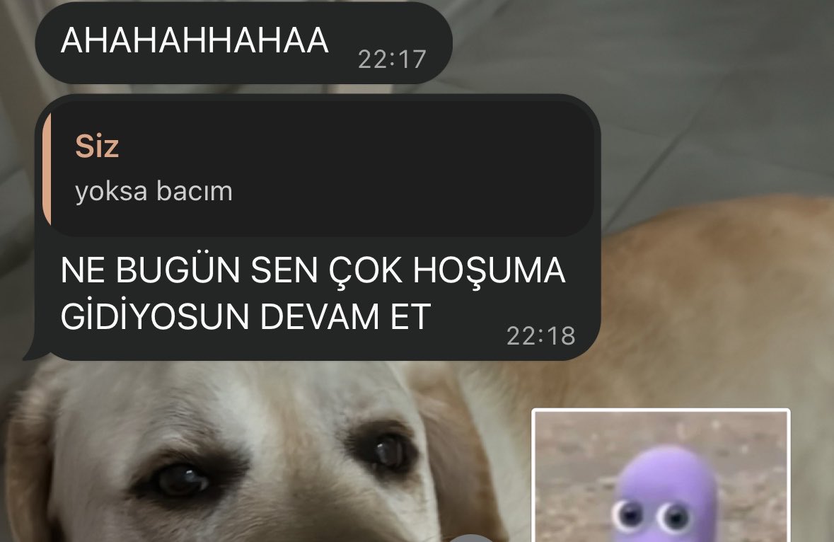 berusimal's tweet photo. Bence sen kimi istersen çarp çıkart topla ben etmez @imyaaagmurr https://t.co/hC53CQaoW1