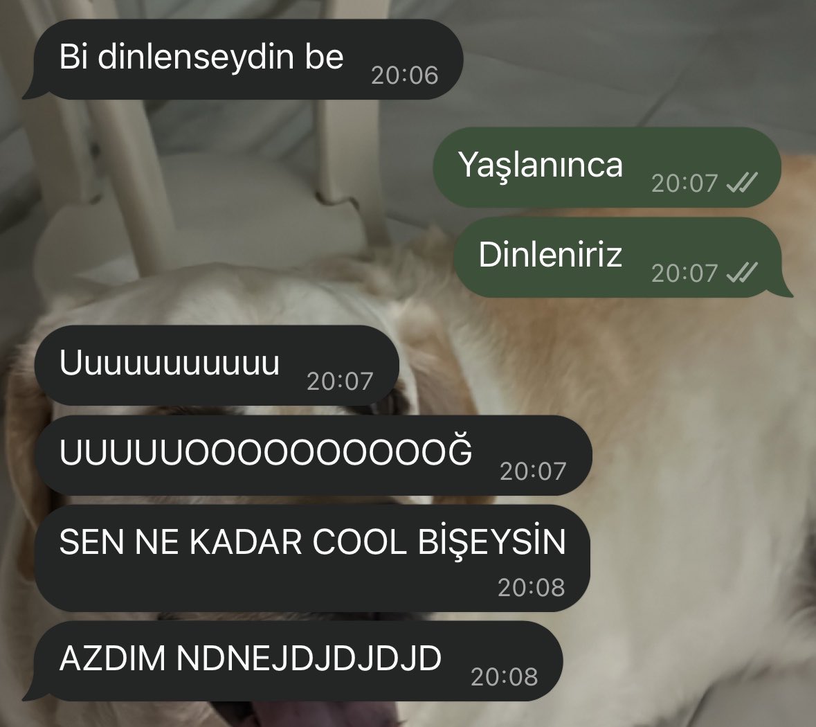 berusimal's tweet photo. Bence sen kimi istersen çarp çıkart topla ben etmez @imyaaagmurr https://t.co/hC53CQaoW1
