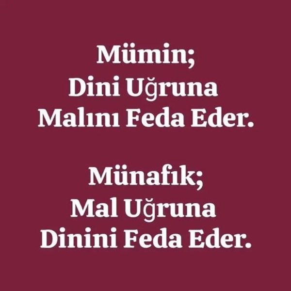 bastarihci's tweet photo. https://t.co/1flM8r56r6