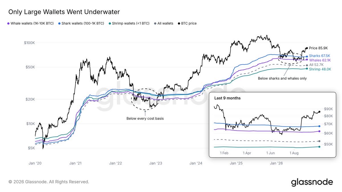 PrometeusCT's tweet photo. #BTC #OnChain #Glassnode
📍 Large entities are back in profit.
Small wallets stayed in profit the whole time: at the Jun low, BTC held well above their $48K cost basis while sharks and whales slipped underwater.
In the 2022 bear market, price 🔽 below every group's cost basis https://t.co/kSm1WdjGCd