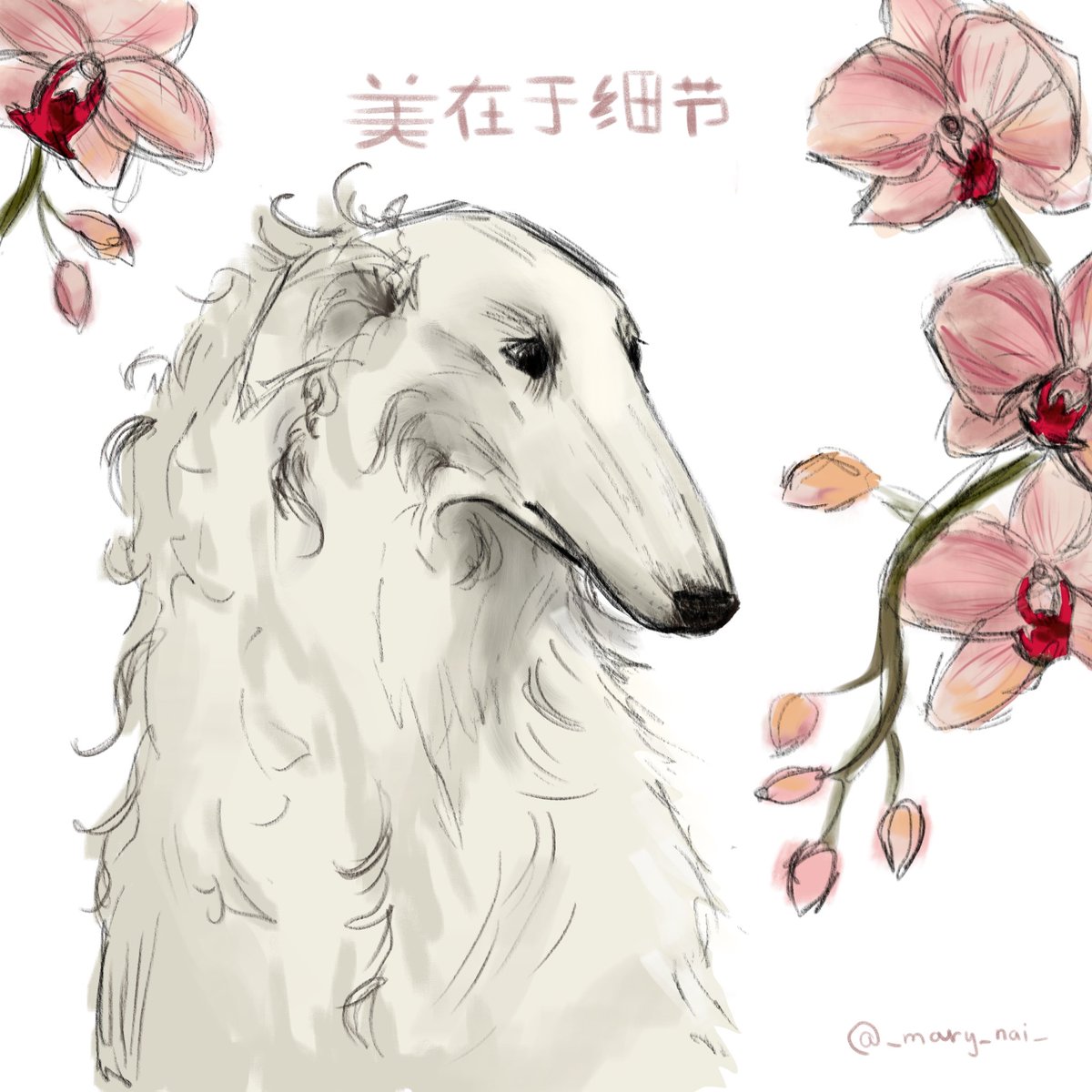 _mary_nai_'s tweet photo. Sketch 💕 
#digitalart #backgrounds #illustration #colors #artist #art #dog #digital https://t.co/7O7JDHQBd7