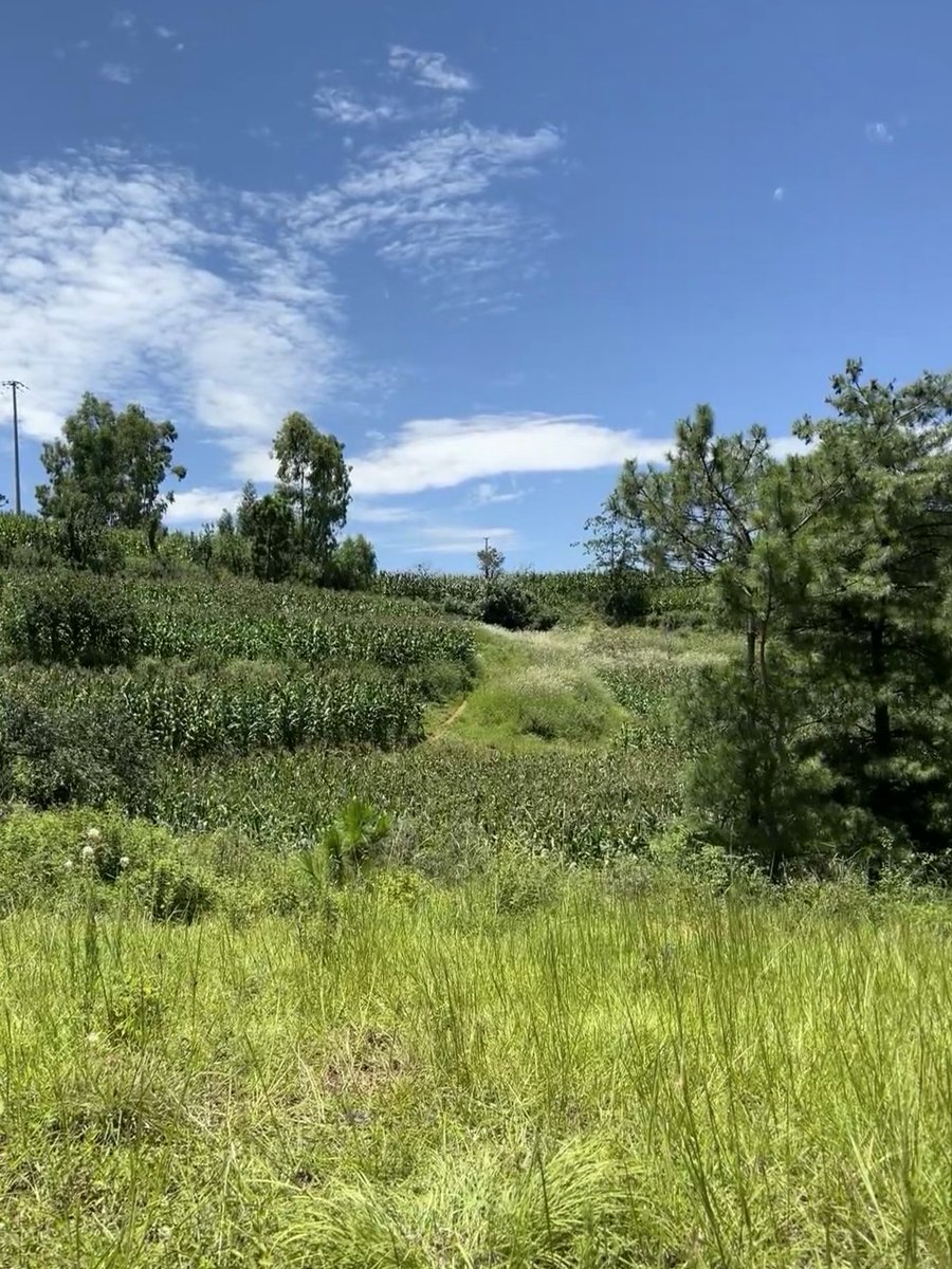 Owais92676539's tweet photo. In the 莆 fields, the 爬 trail leads to a place where 忱 warmth lingers, leaving no sad 逝 trace of regret. https://t.co/AxBlKj198U