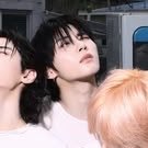 sillyhts's tweet photo. #NewProfilePic https://t.co/U4LXGnPXQ3