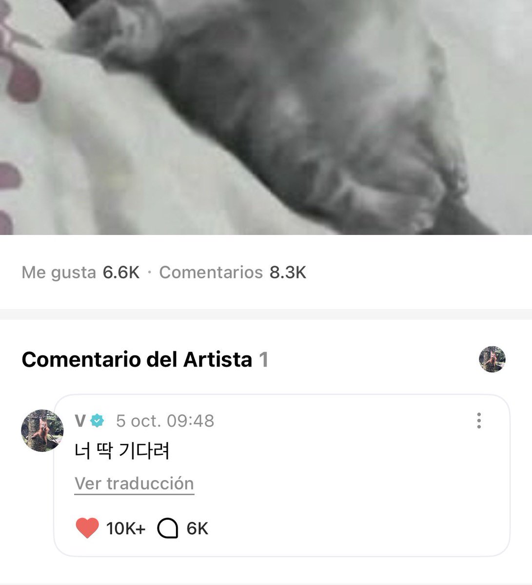 ARMYForce_Peru's tweet photo. — TAE LE RESPONDIÓ A UN ARMY DE PERÚ AAAAAAAAAAAAAAAAAA

💜: Hay rumores de que BTS ya llegó a Perú… 👀🇵🇪 Ya estoy muy nerviosa 😂💜 Estoy contando los días para poder conocerlos en persona. No puedo esperar… “¡PERÚ ES CLAVE!” 🇵🇪💜🔥

🐻: Solo esperen! https://t.co/HMjJWH4fVP