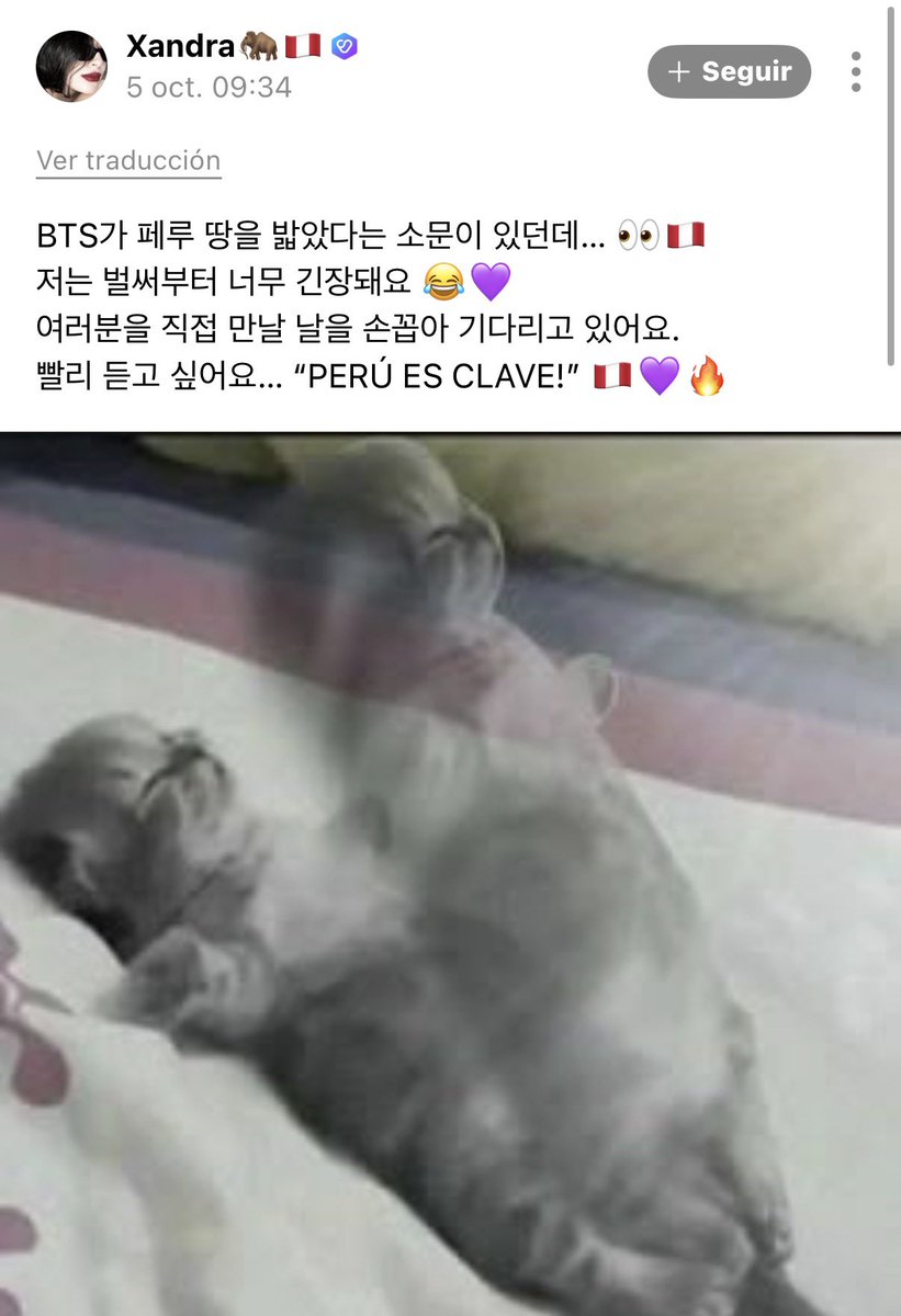 ARMYForce_Peru's tweet photo. — TAE LE RESPONDIÓ A UN ARMY DE PERÚ AAAAAAAAAAAAAAAAAA

💜: Hay rumores de que BTS ya llegó a Perú… 👀🇵🇪 Ya estoy muy nerviosa 😂💜 Estoy contando los días para poder conocerlos en persona. No puedo esperar… “¡PERÚ ES CLAVE!” 🇵🇪💜🔥

🐻: Solo esperen! https://t.co/HMjJWH4fVP