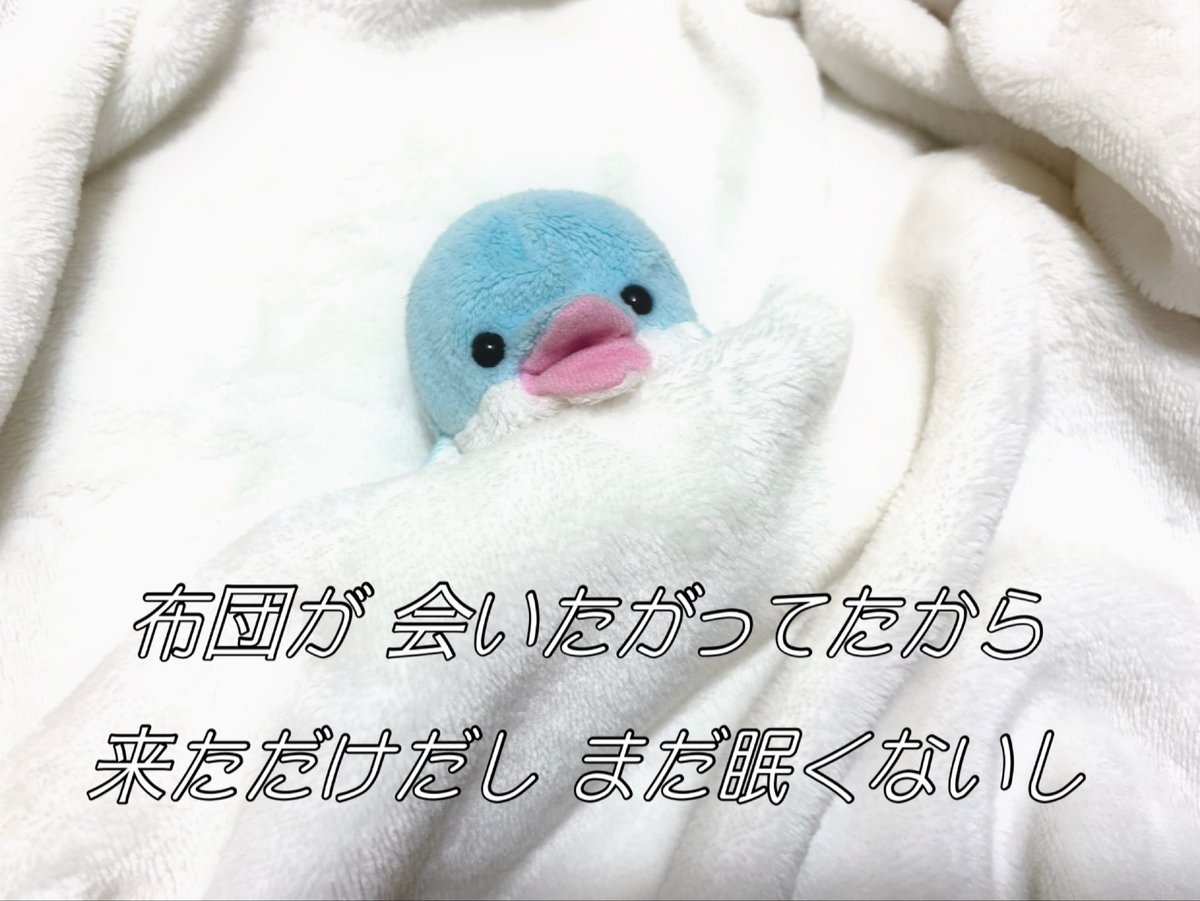 lady_chisaine's tweet photo. オールとか平気だし https://t.co/VwRPtutNcR
