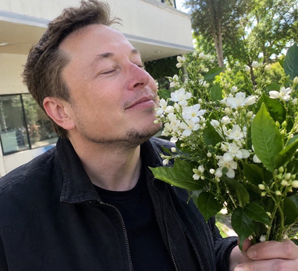 CEOElonMus782hv's tweet photo. Be Honest! 

What smells so good it should BE a perfume? https://t.co/7u4wEVCWqC