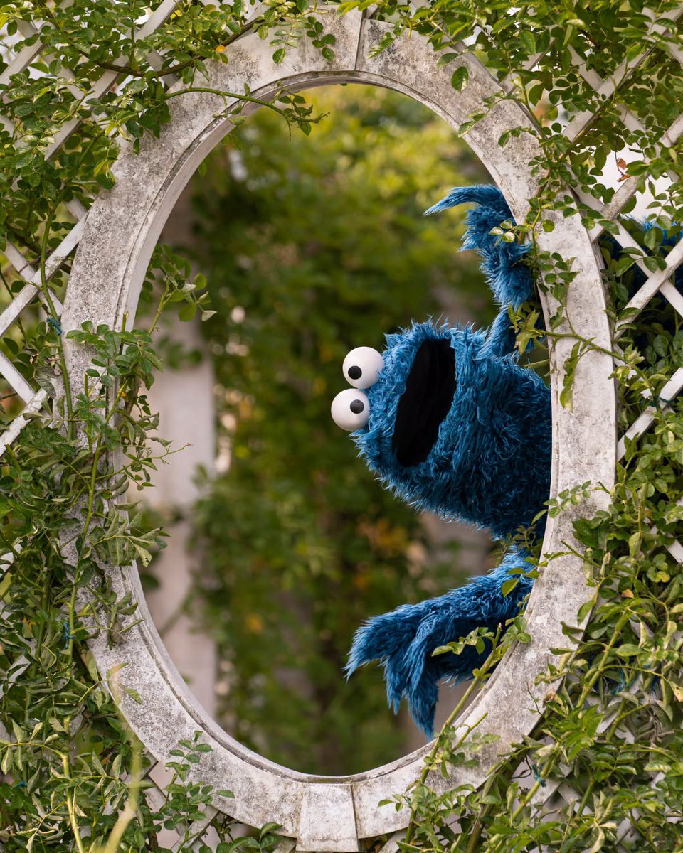 sesamejapan's tweet photo. いないいないばぁ！

キミがクスッと笑ってくれたら嬉しいな。(#クッキーモンスター） https://t.co/rVJxjrl1xy
