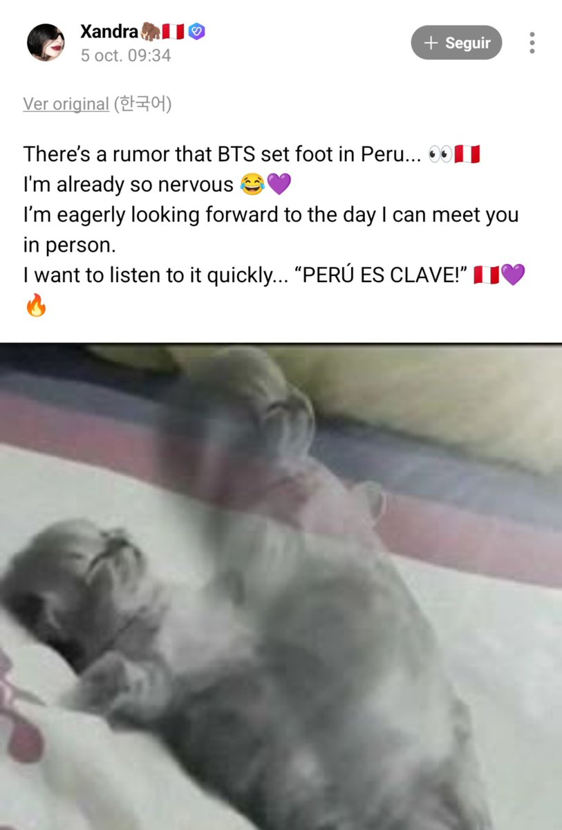 pjmIesviu's tweet photo. SE NOS VIENE A TAEHYUNG DICIENDO PERU ES CLAVE, PERUANAS COMO ESTAMOS???? 😭

💜: Corre el rumor de que BTS estuvo en Perú... Ya estoy súper nerviosa . ¡Estoy deseando que llegue el día en que pueda conocerlos en persona!
Quiero escucharlo ya mismo... “PERÚ ES CLAVE!” 🇵🇪

🐻: solo espera