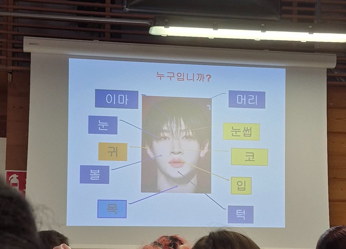 BangChanGlobal's tweet photo. 🏫 | A photo of Bang Chan was used as part of Korean lessons at a University to help students learn the different terms on a face! 

(This is definitely one way to get students learning! - 🐧)

#BangChan #방찬 #バンチャン #方灿 https://t.co/peexwZy09I