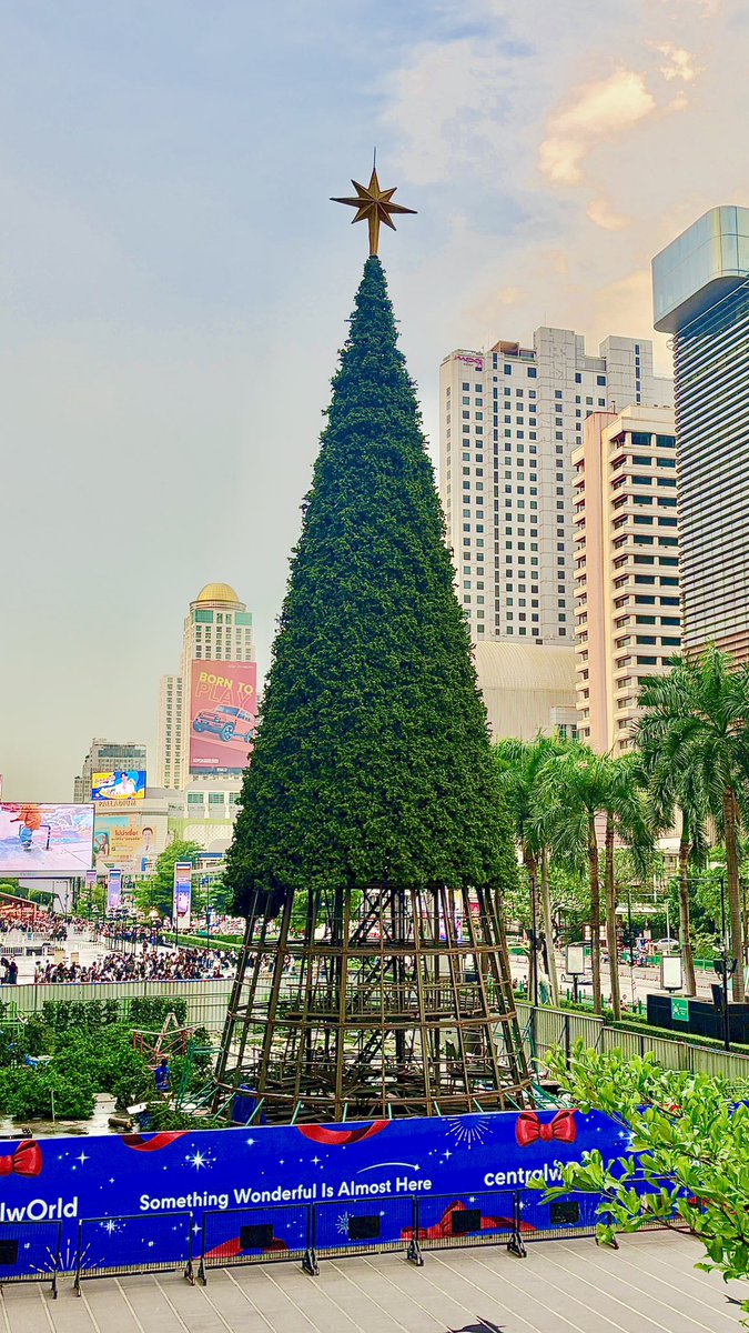 IceApple1995's tweet photo. วันนี้ต้นคริสต์มาสหน้า Central World ถึงยอดแหลมและประดับดาวบนยอดต้นแล้ว เหลือเพียงแค่การติดใบต้นส่วนล่างและประดับตกแต่งรอบๆ ต้น คงแล้วเสร็จเดือนนี้ครับ
#centralwOrld #ต้นคริสต์มาส #คริสต์มาส2569 #christmas2026 #ratchaprasong #ราชประสงค์ #เซ็นทรัลเวิลด์ #bangkok #thailand https://t.co/XVFhq05ojF