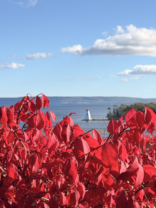 Bright red autumn leaves in the foreground with a blue lake, distant mountains, and a small lighthouse under a partly cloudy sky.