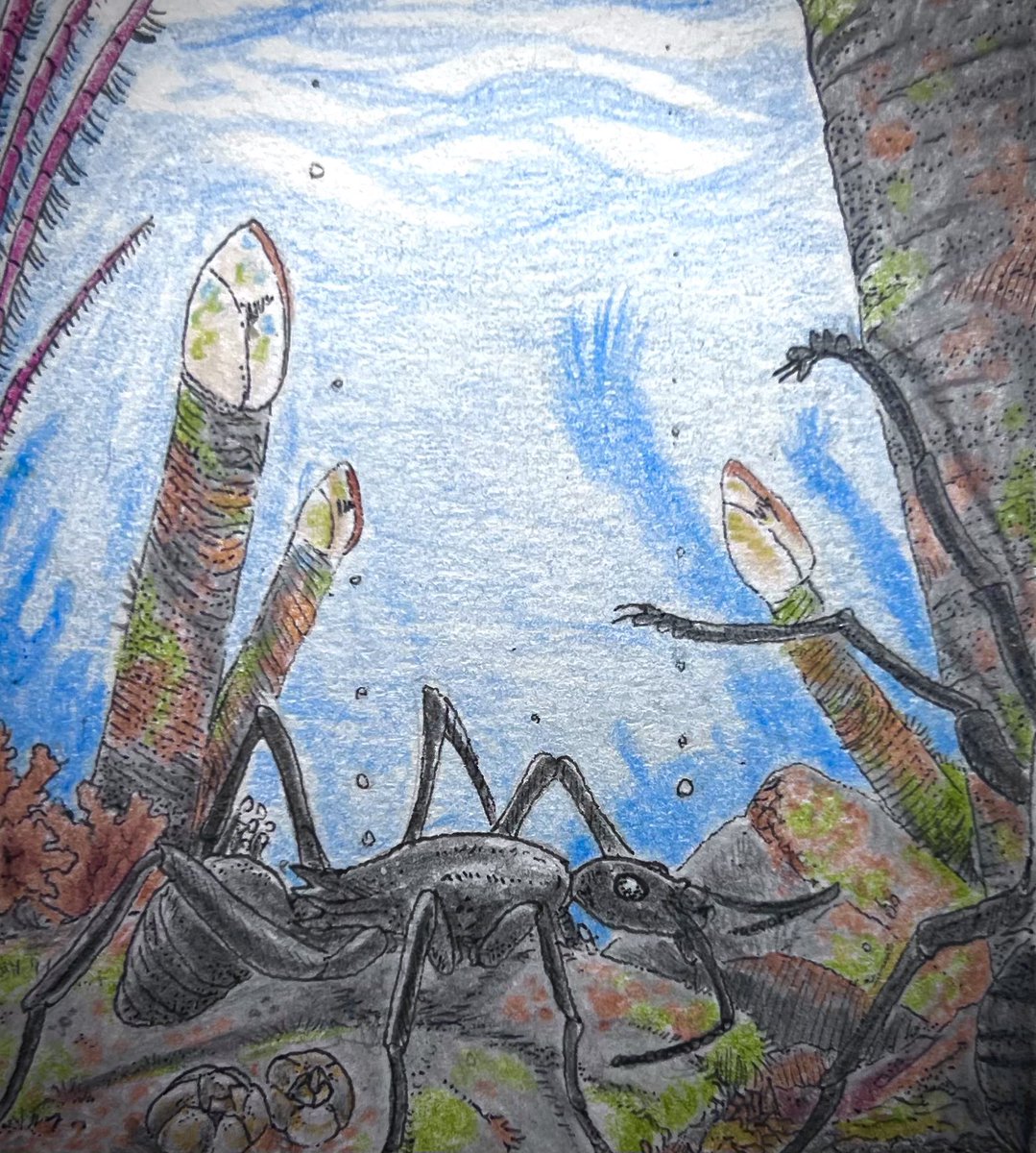 Thespeculator21's tweet photo. Australian ants in the genus Polyrhachis often found themselves stranded throughout the atolls of the eastern Pacific, they found success foraging in the reefs, developing into a marine insect, reef ants.

#Speculativebiology #speculativeevolution #SpecEvo #speculativezoology https://t.co/mgVEjiBKoK