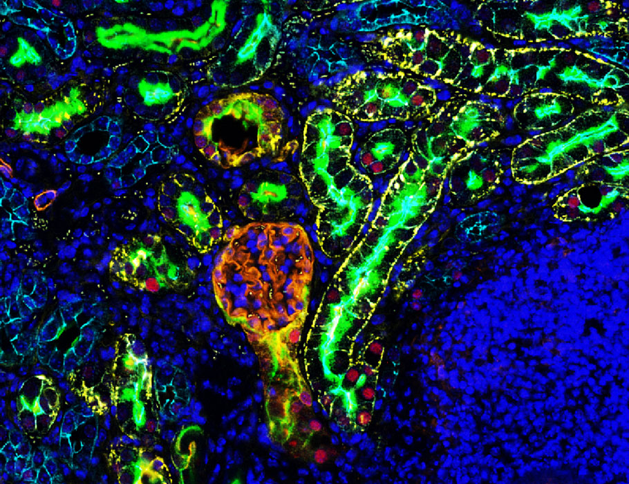 ScienceTM tweet picture