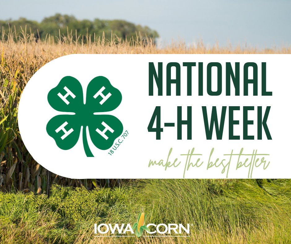 iowa_corn's tweet photo. It’s National 4-H Week! 🌽💚

Iowa’s 4-H members are learning, leading and growing the skills that will shape the future of agriculture and rural communities. We’re proud to support the next generation of Iowa leaders! #National4HWeek #IowaCorn https://t.co/J9RsuVJmBm