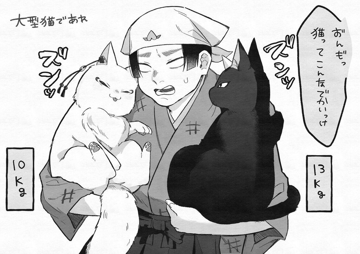 harunominato891's tweet photo. https://t.co/LtT4JprYEM