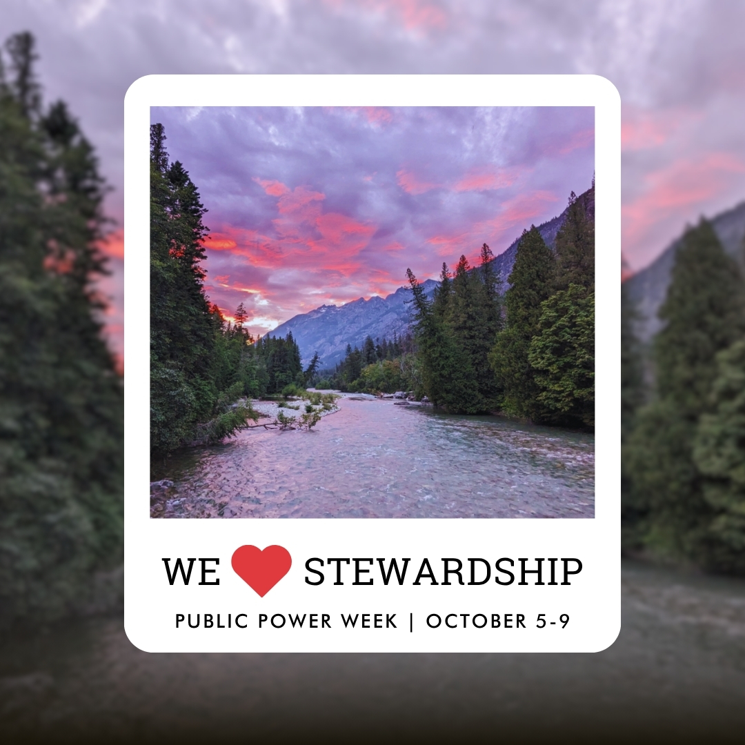chelanpud's tweet photo. WE ♥️ STEWARDSHIP // We're taking care of what powers our community. From protecting fish and wildlife to caring for the parks our communities enjoy, stewardship is part of what public power means to us. Visit https://t.co/Ne5X91vgsf for a complete list of activities. https://t.co/Zl1JCca8ka