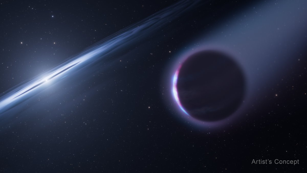 HUBBLE_space's tweet photo. 🆕 This suspected second-generation planet has solved a Hubble cold case 🕵️‍♂️

Since 1999, mysterious chemical signatures from a white dwarf, HS 0209+0832, have sat in the Hubble archive. Now, sleuthing astronomers have revealed unusual chemical abundances, including of the element niobium. 1/3