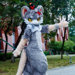 Photo by Boomer (@leon23512)