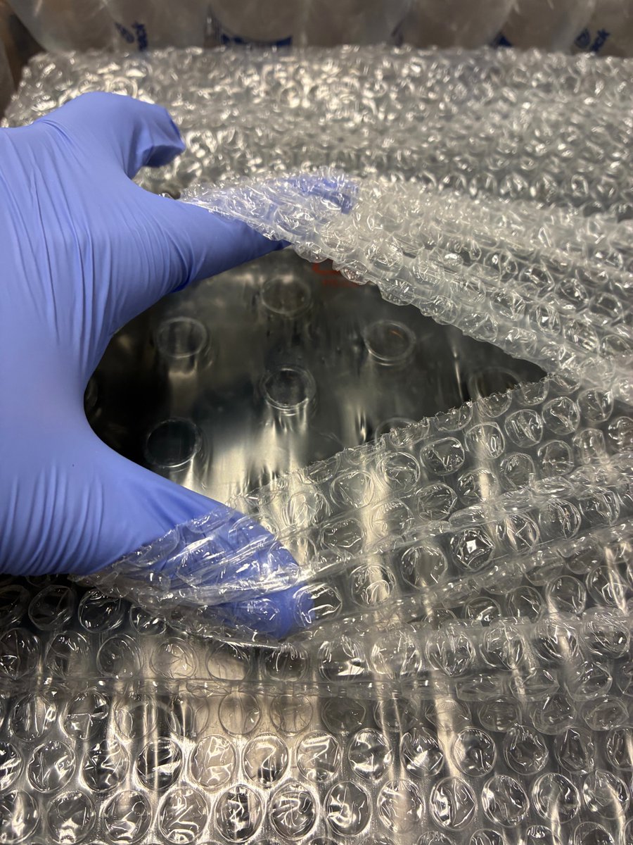 NexTelMedical's tweet photo. Thrilled to announce a key milestone for $MAJI! We’ve received our initial bottle order to fill, label, and seal for pre-launch product sampling across multiple locations. With our first commercial pallet arriving next week, production is ramping up quickly for our full market launch!