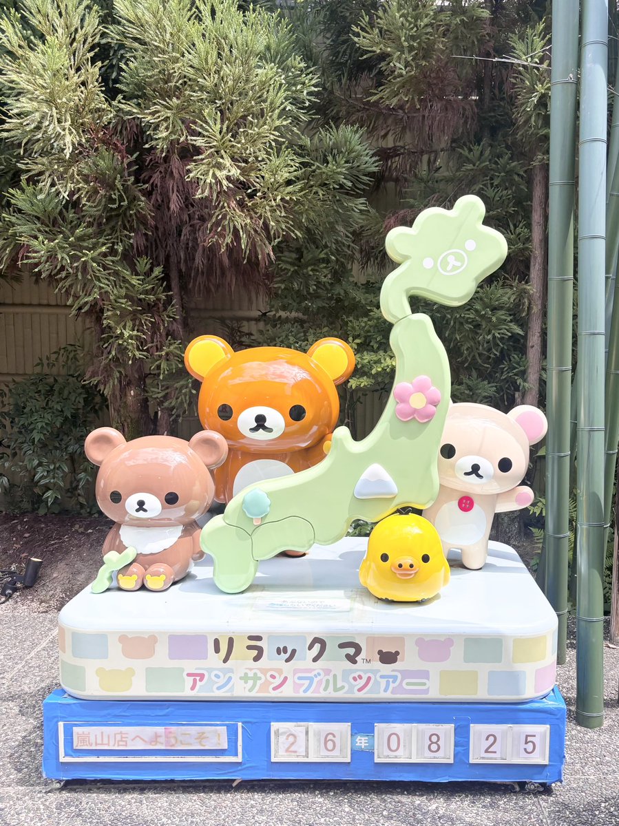 pigkumma's tweet photo. https://t.co/pL3qeF95bL